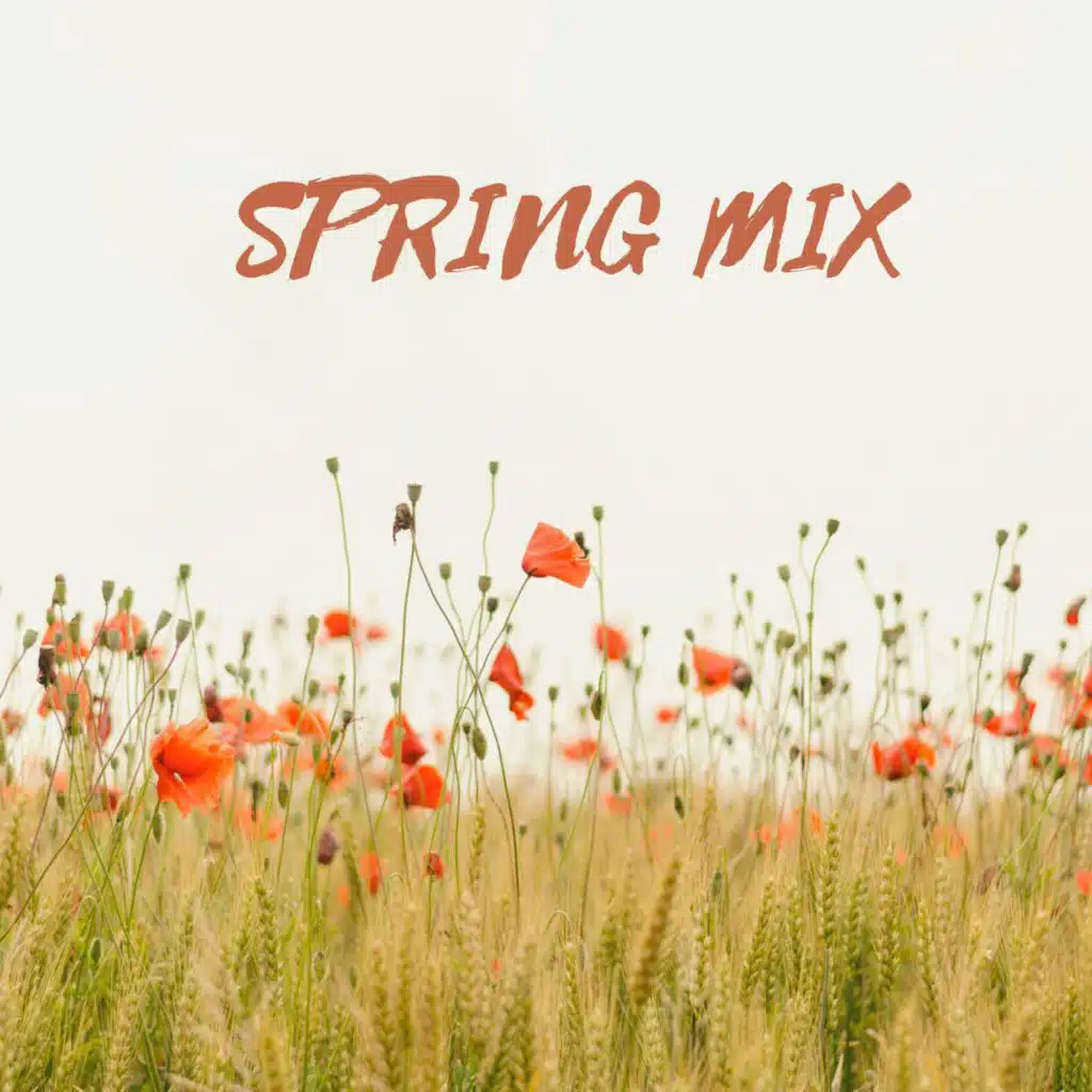Spring Mix