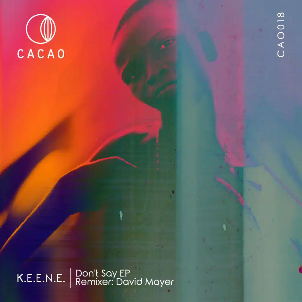 Don't Say (David Mayer Remix)