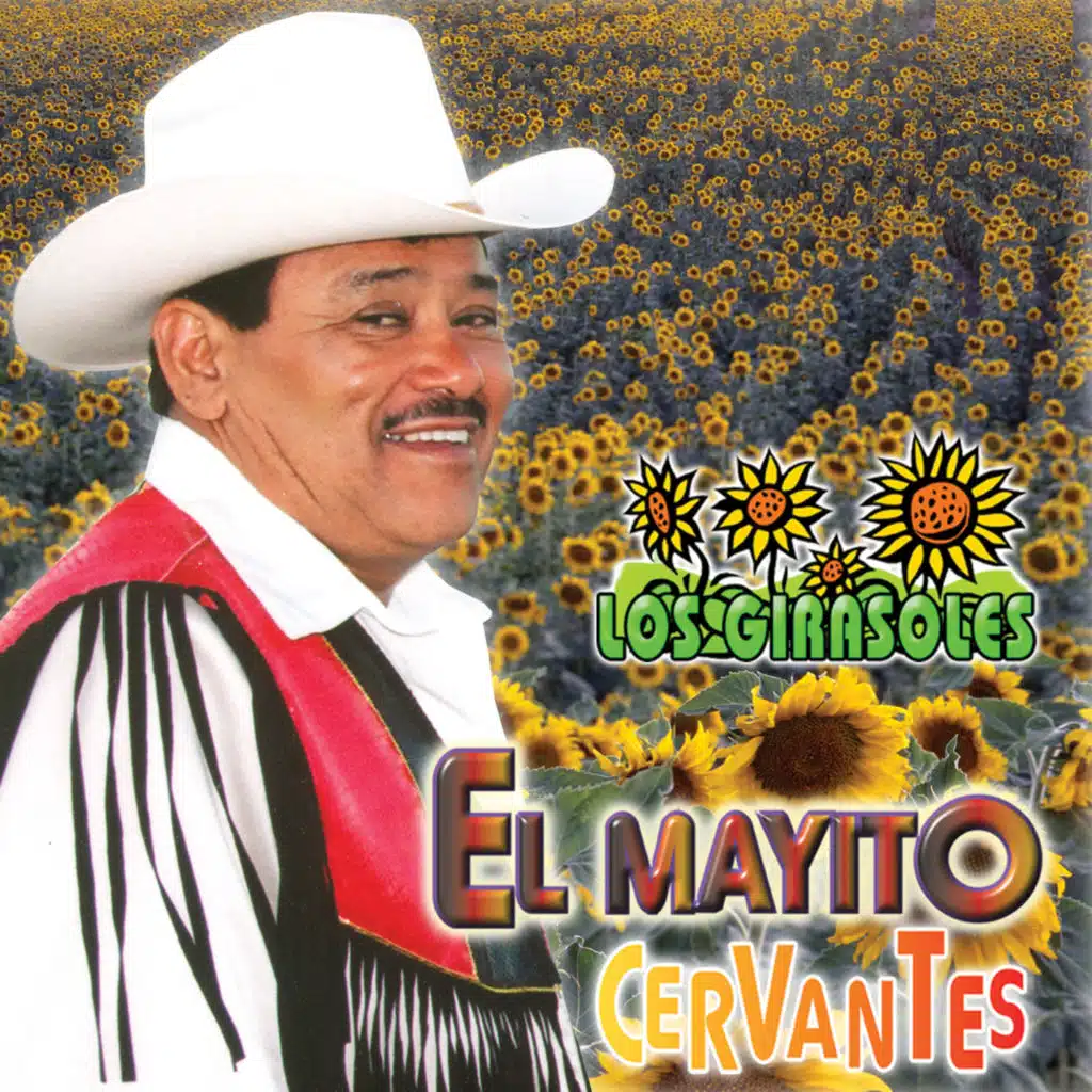 El Mayito Cervantes