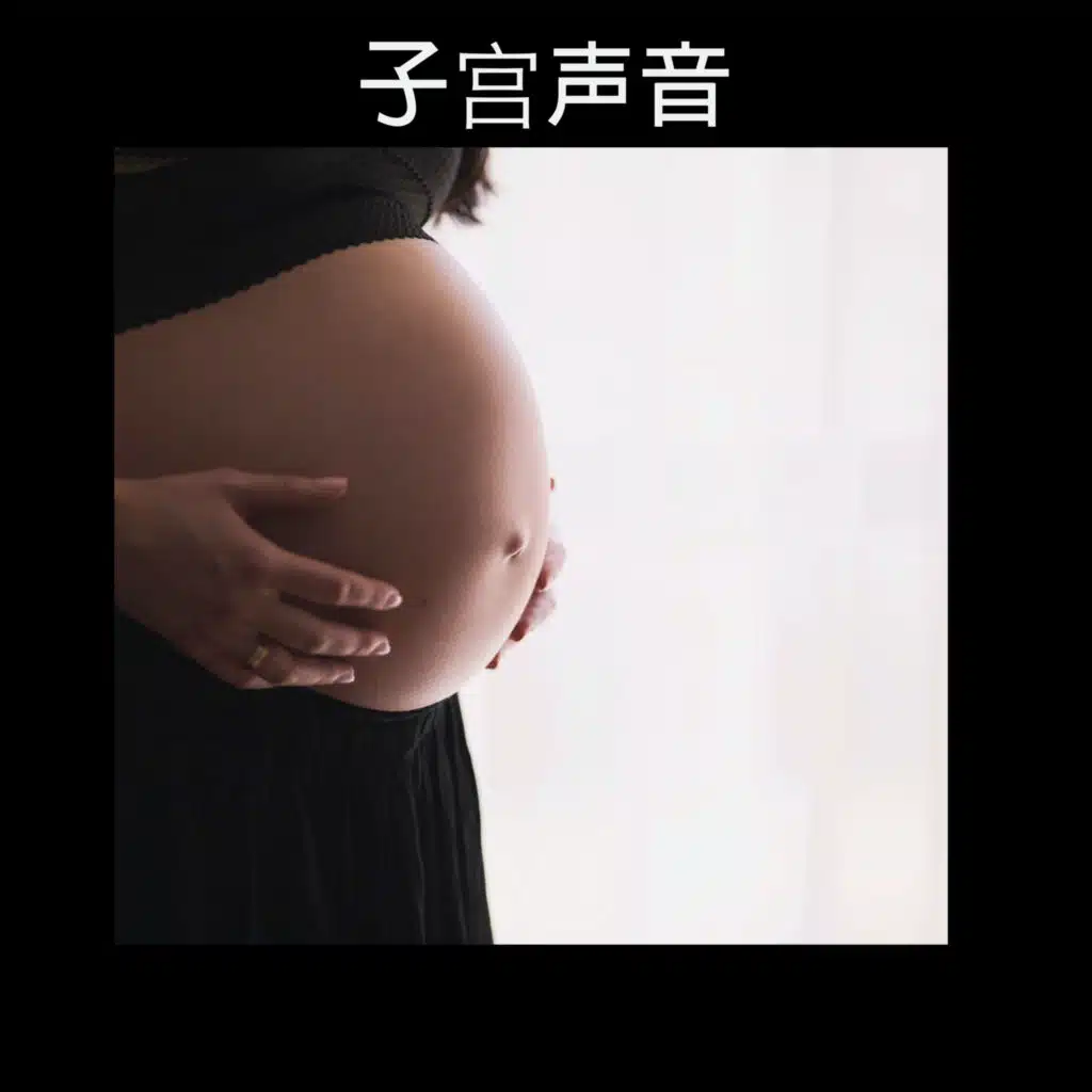 子宫声音