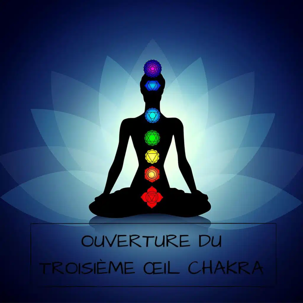 Session de visualisation