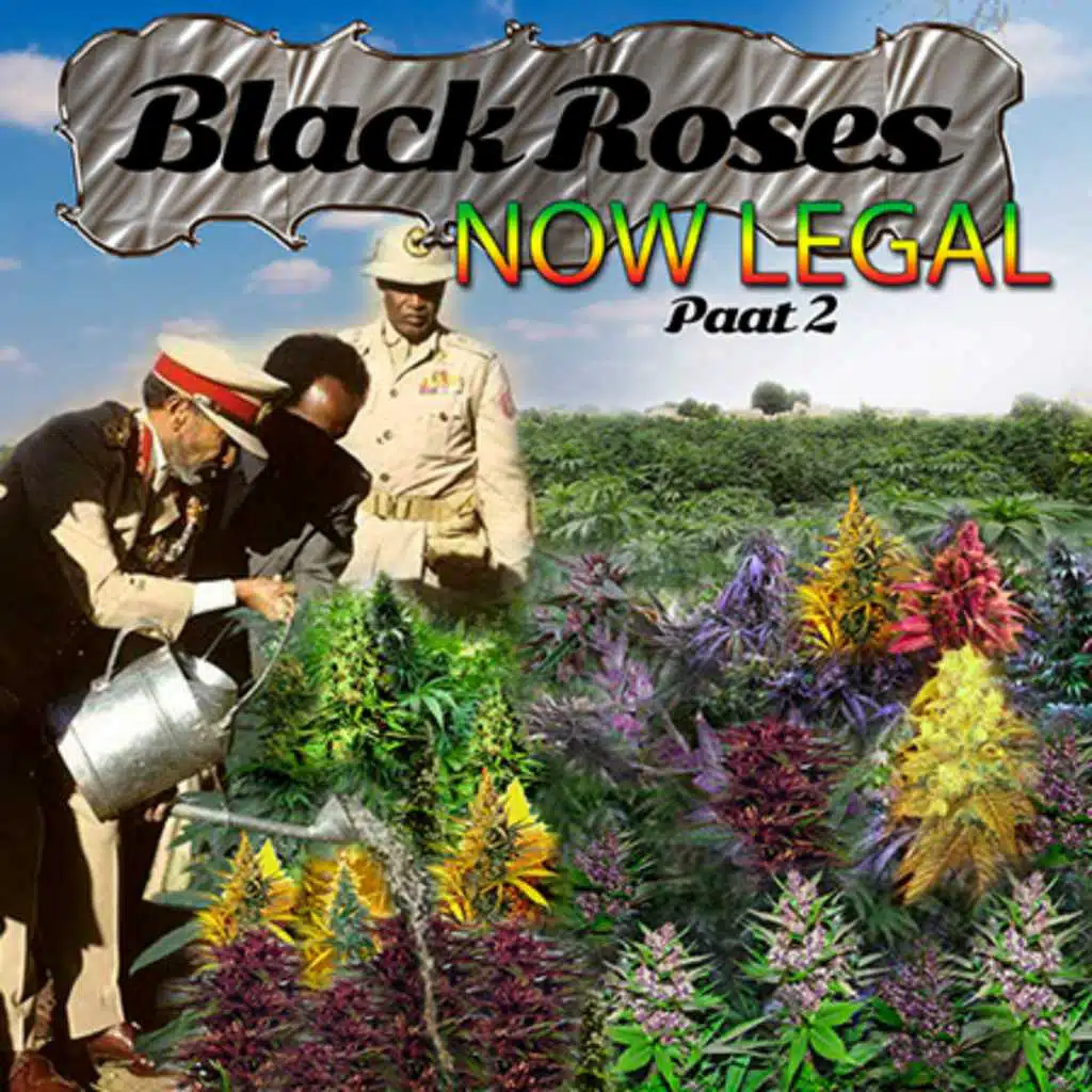 Black Roses Now Legal, Pt. 2