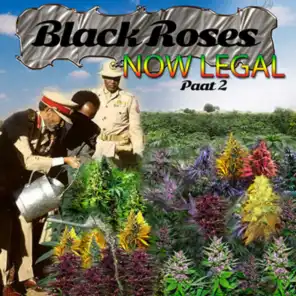 Black Roses Now Legal, Pt. 2