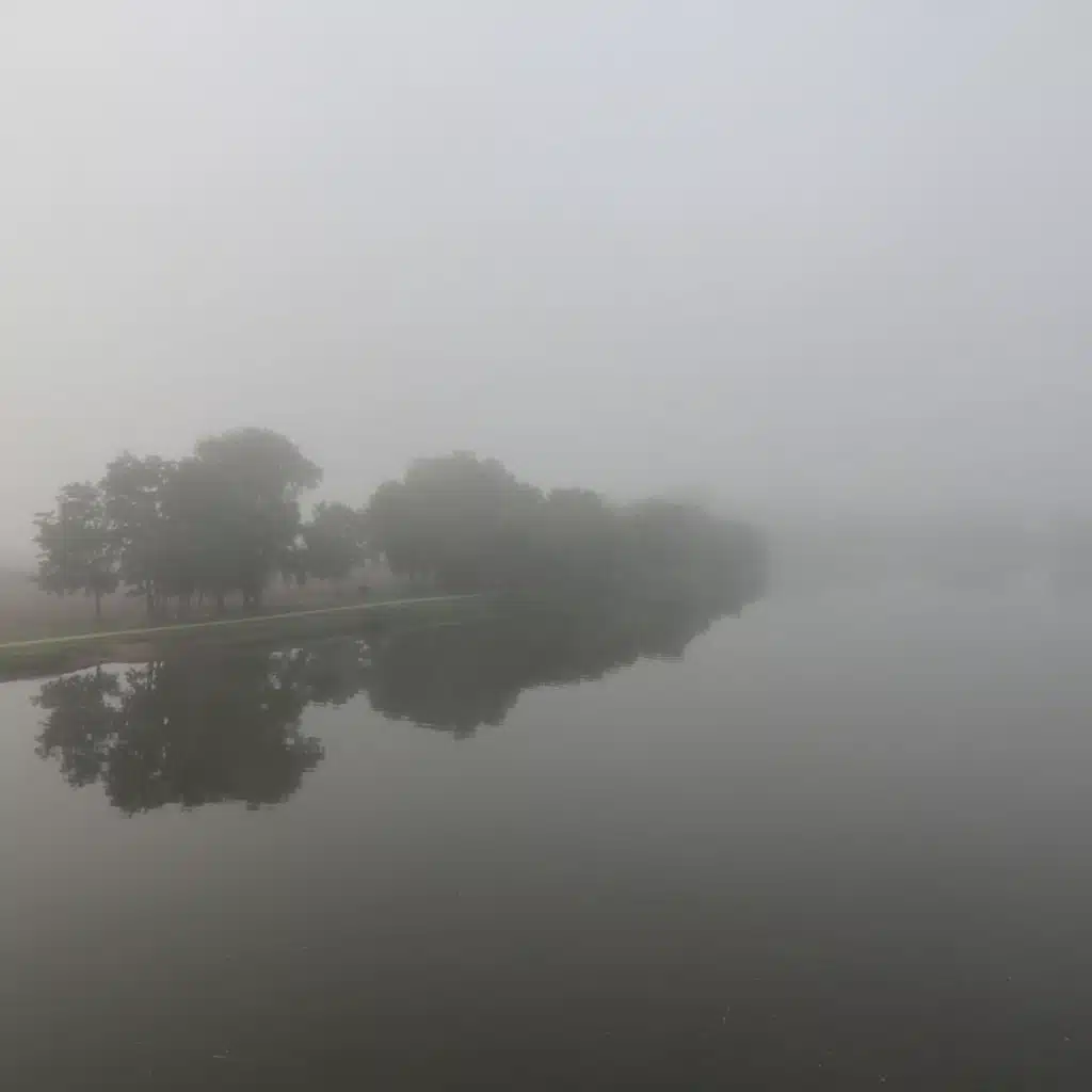 Still Water Runs Deep : A Dream's Orchestra