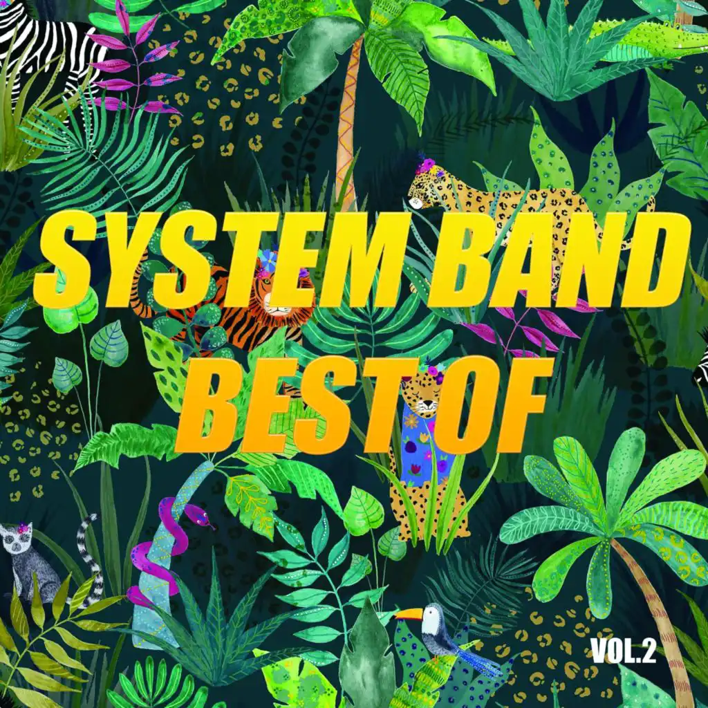 Best of system band (Vol.2)