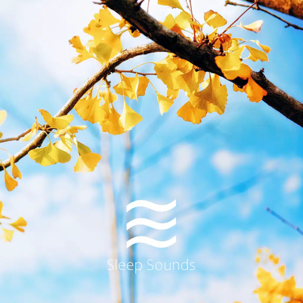 Pink Sleeping Noise for Kids