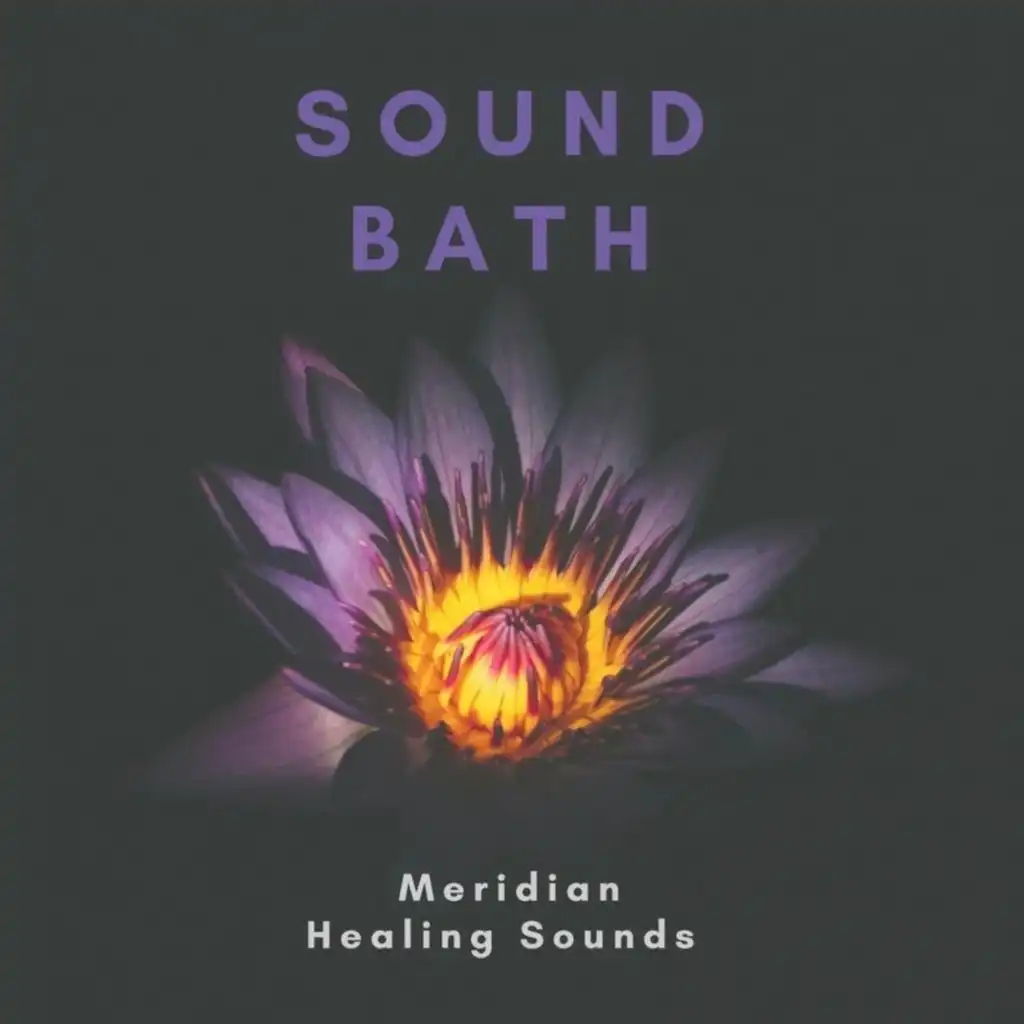 Meridian Healing Sounds: Meditation Tones