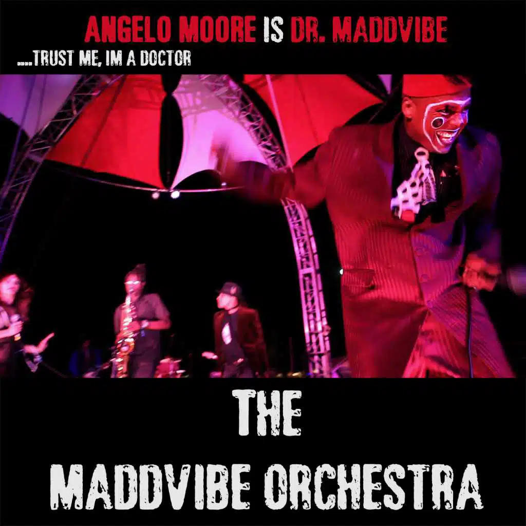 The Maddvibe Orchestra (feat. Angelo Moore, Keno Mapp, Stefania Devire, Bryan Dean, Juan Richardson, Kevin Carnes, Dan Cantrell, David Boyce, Alan Williams, Jeff Hobbs, Sally Green & Vau de Vire Society)