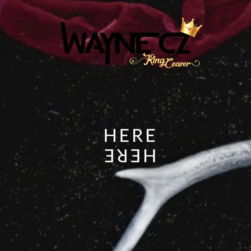 Wayne CZ