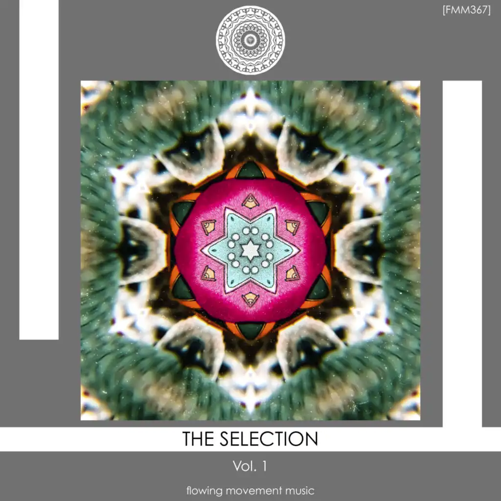The Selection, Vol. 1