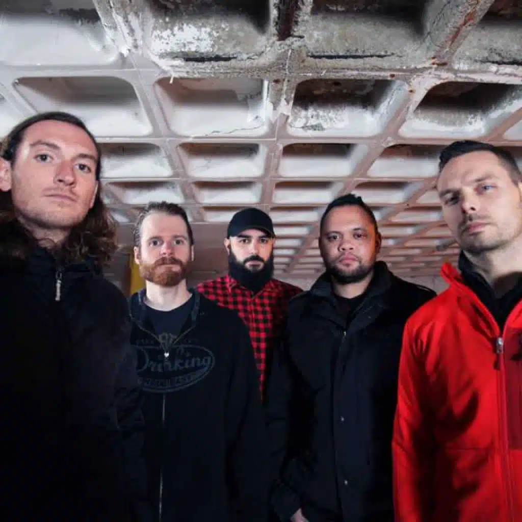 If These Trees Could Talk