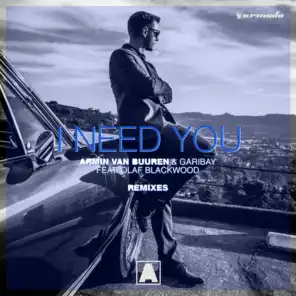 I Need You (Galactic Marvl Remix) [feat. Olaf Blackwood]