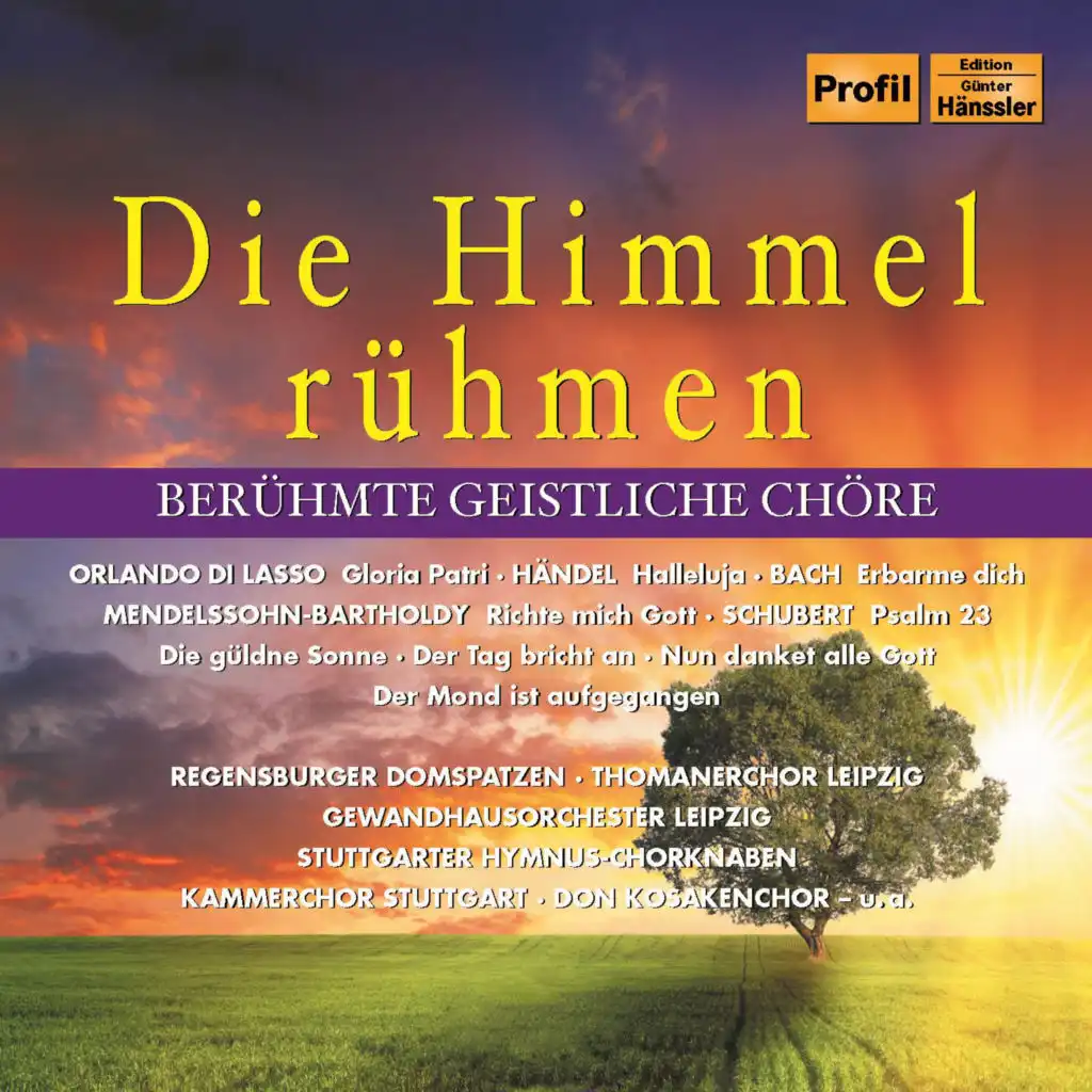 Schaff's mit mir, Gott, BWV 514