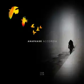 Accordia (Just Her Remix)