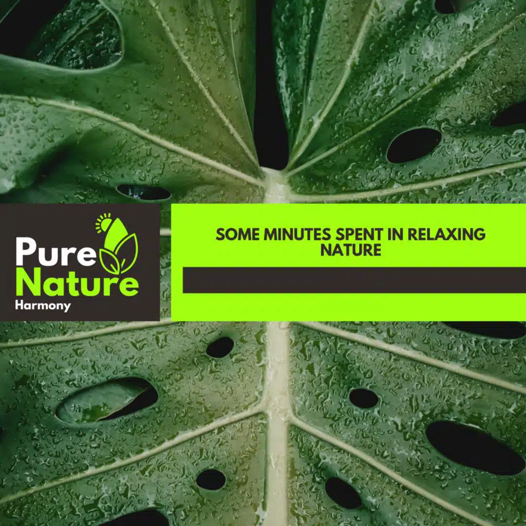 Some Minutes Spent in Relaxing Nature