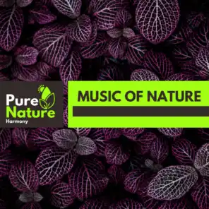 Music of Nature