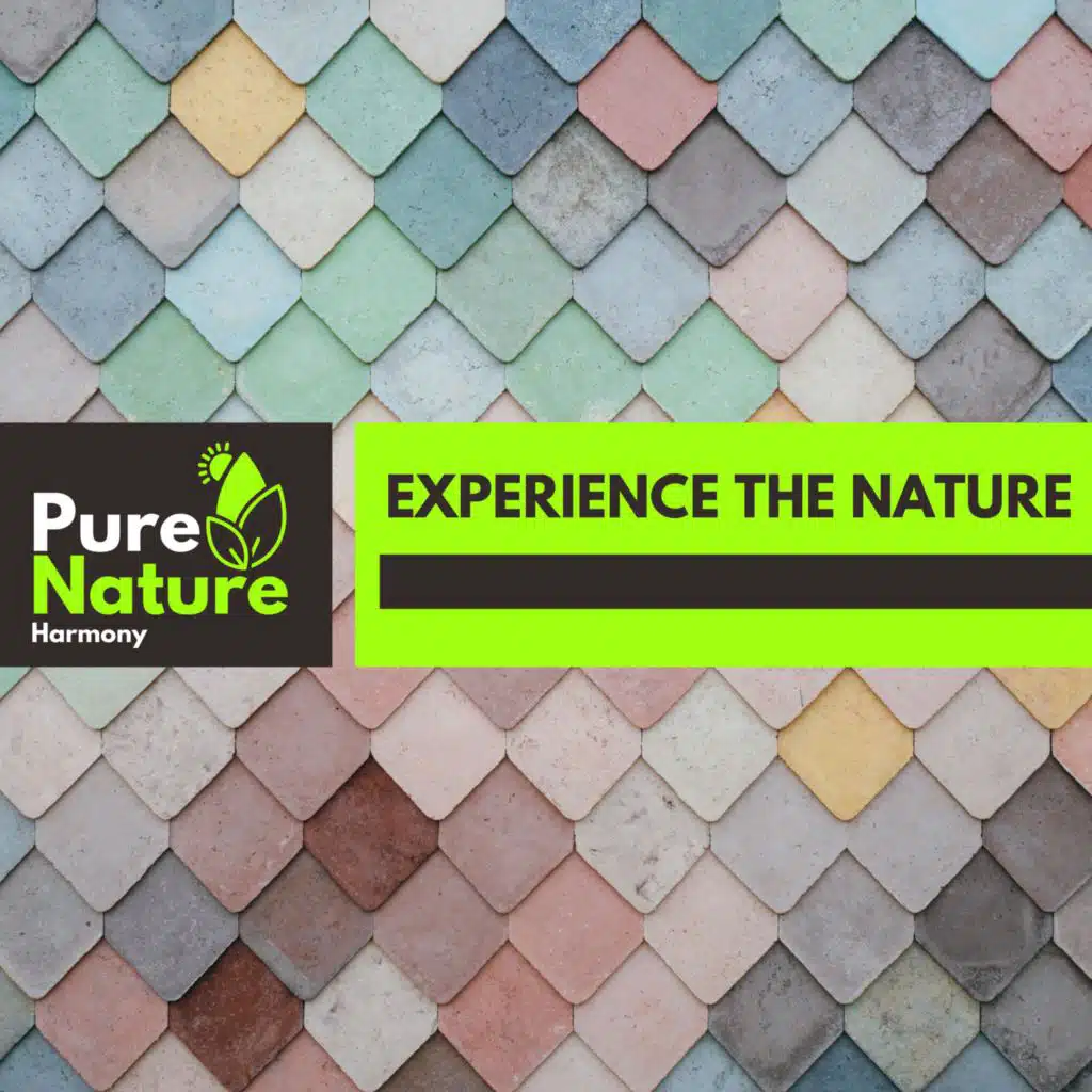 Nature Glorious Music Club