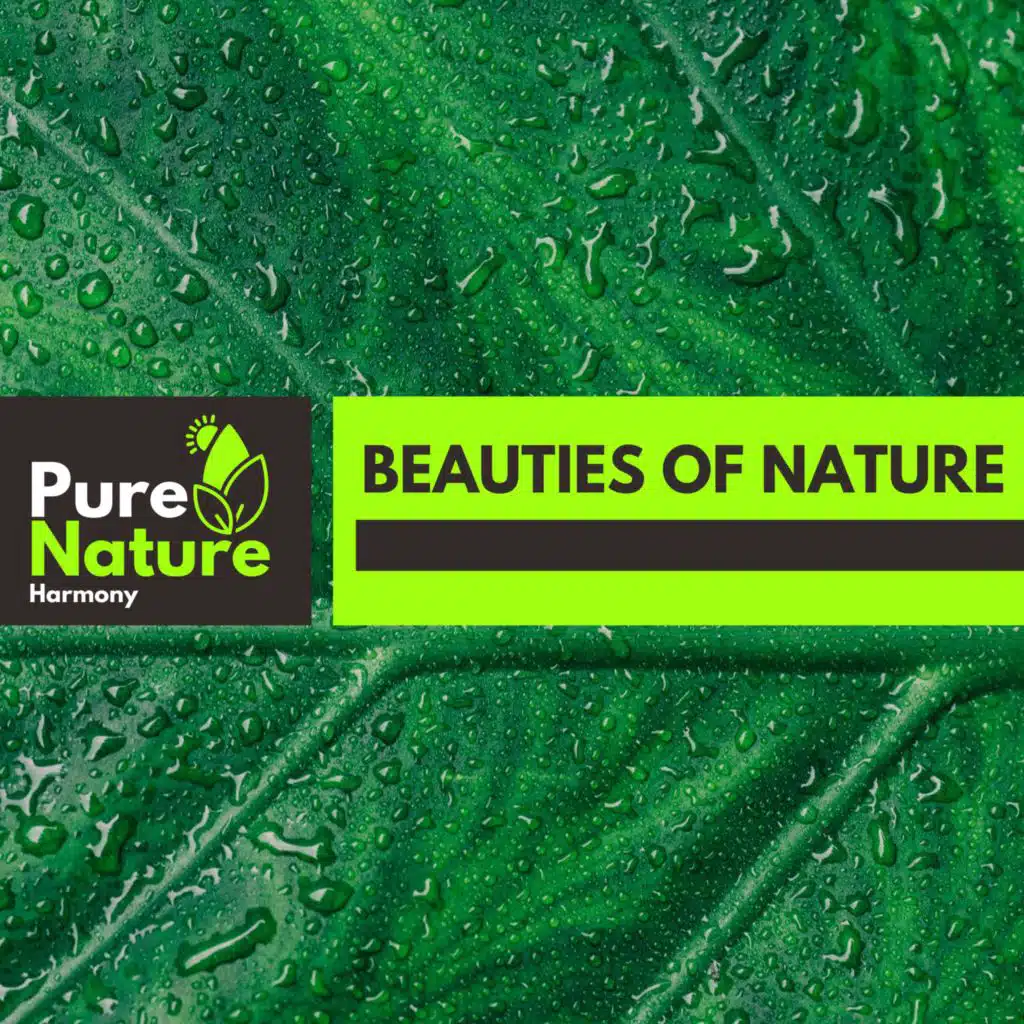 Pretty Birds at Dawn