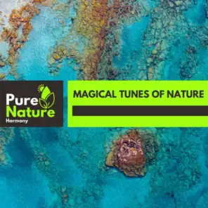 Magical Tunes of Nature