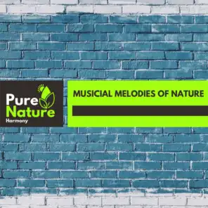 Musicial Melodies of Nature
