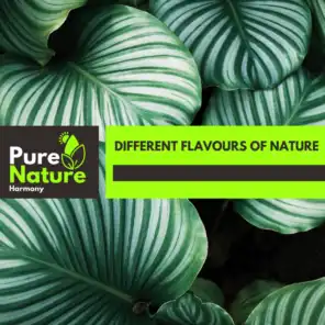 Different Flavours of Nature