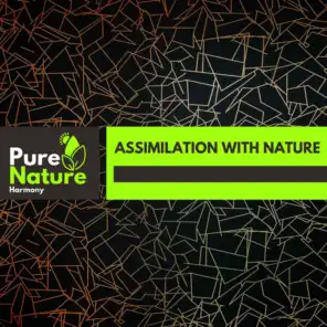 Assimilation With Nature