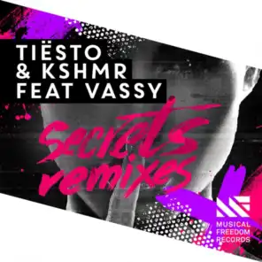 Secrets (Remixes) [feat. VASSY]