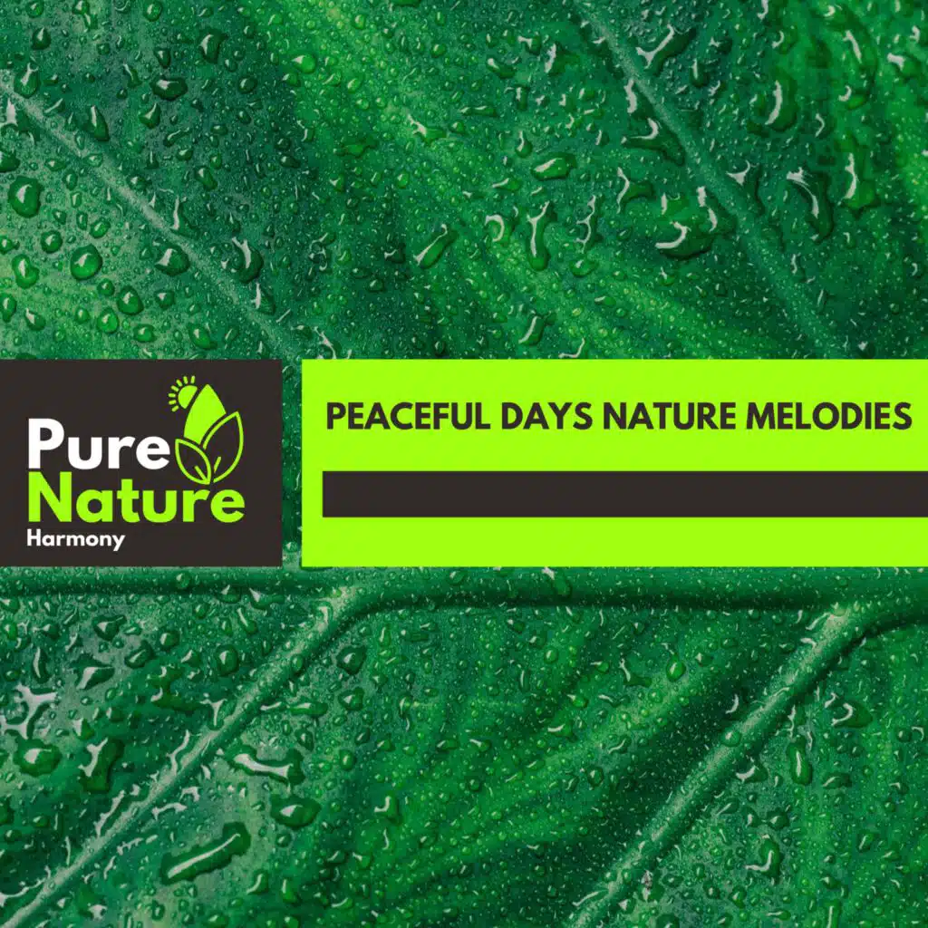 Amazon Night Crickets