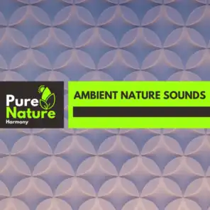 Ambient Nature Sounds