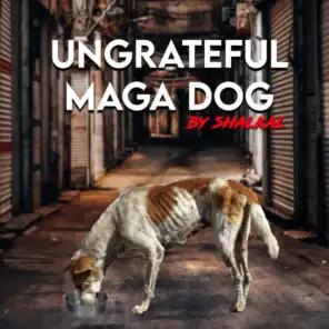 Ungrateful Maga Dog