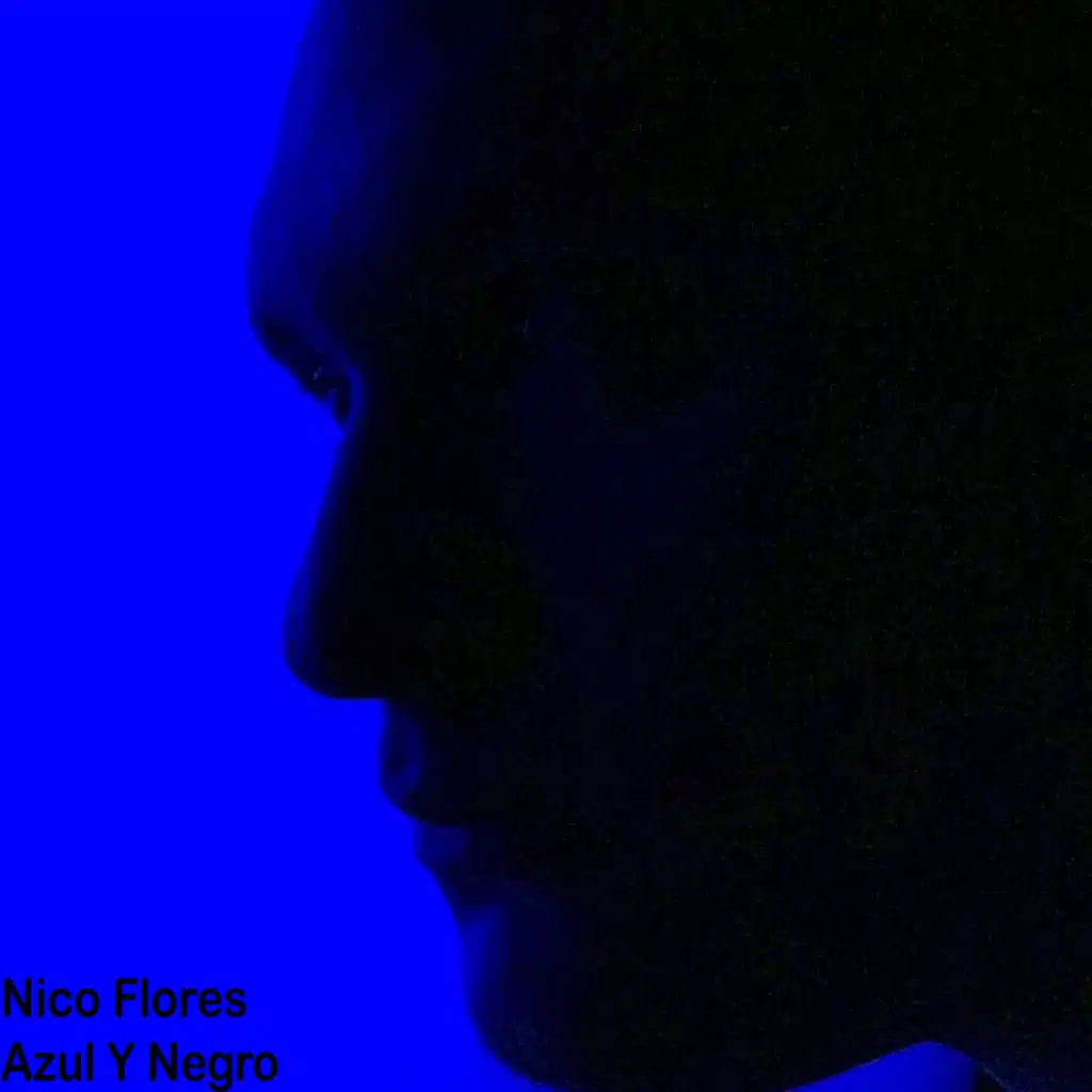 Azul Y Negro