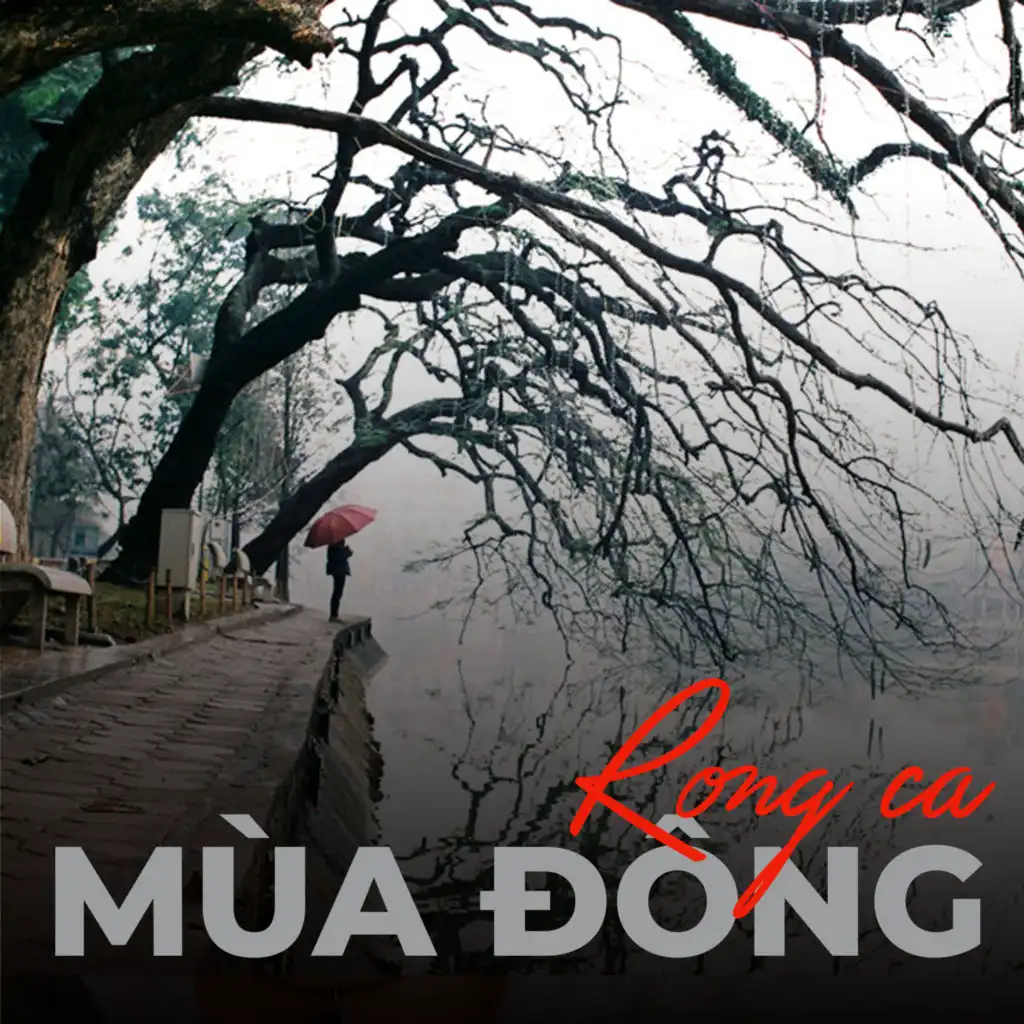 Bông Mai