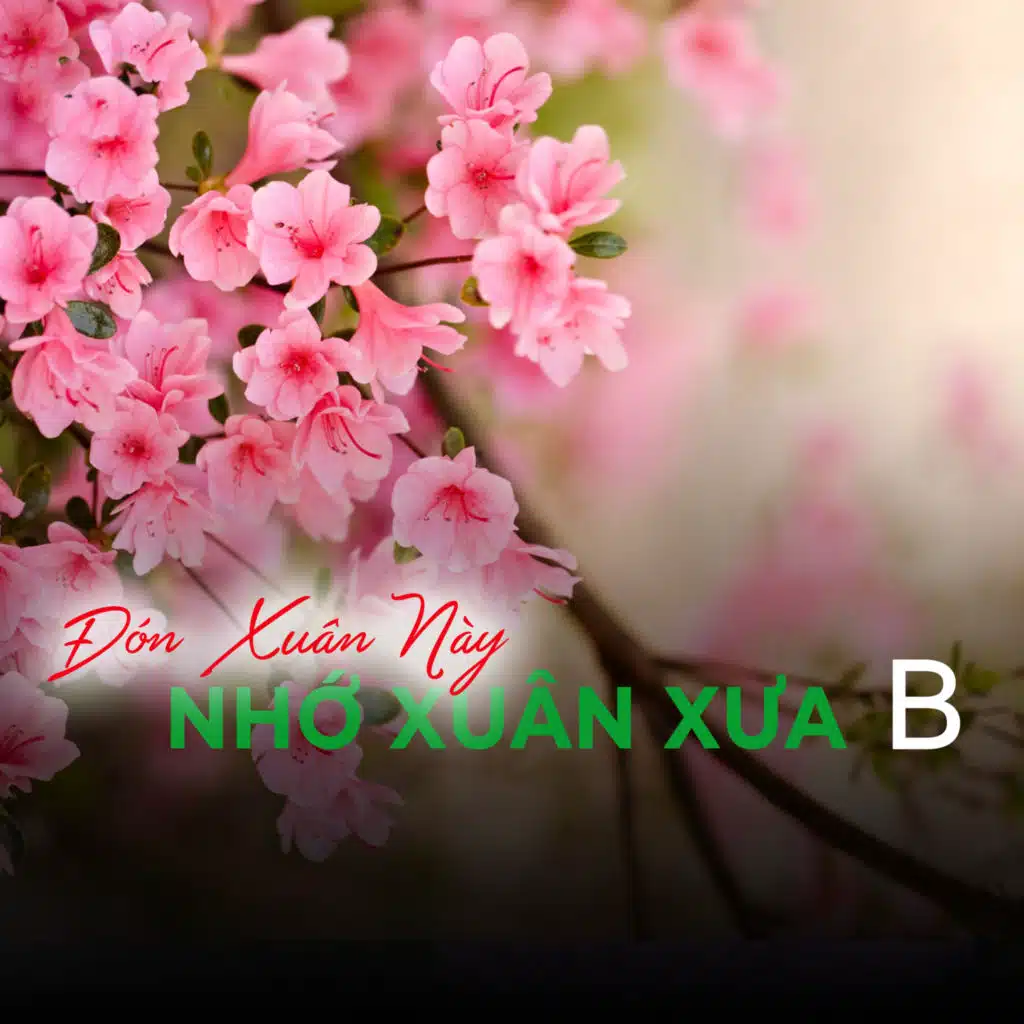 Đón xuân này nhớ xuân xưa B