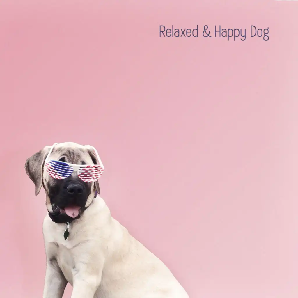 Relaxed & Happy Dog – Soothing Music for Your Beloved Puppy