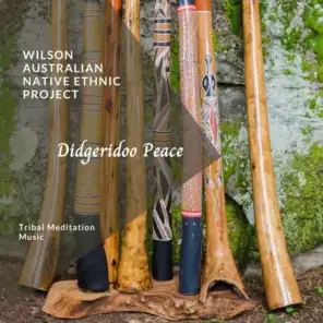Electronic Drumming Didgeridoo Meditation
