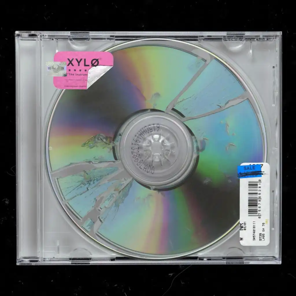 ordinary (Instrumental)