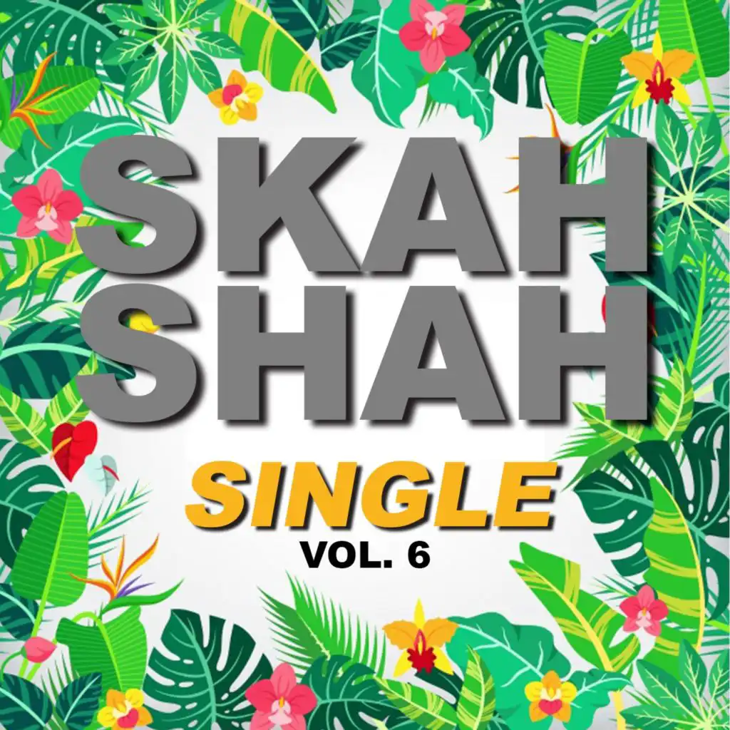 Single skah shah (Vol.6)