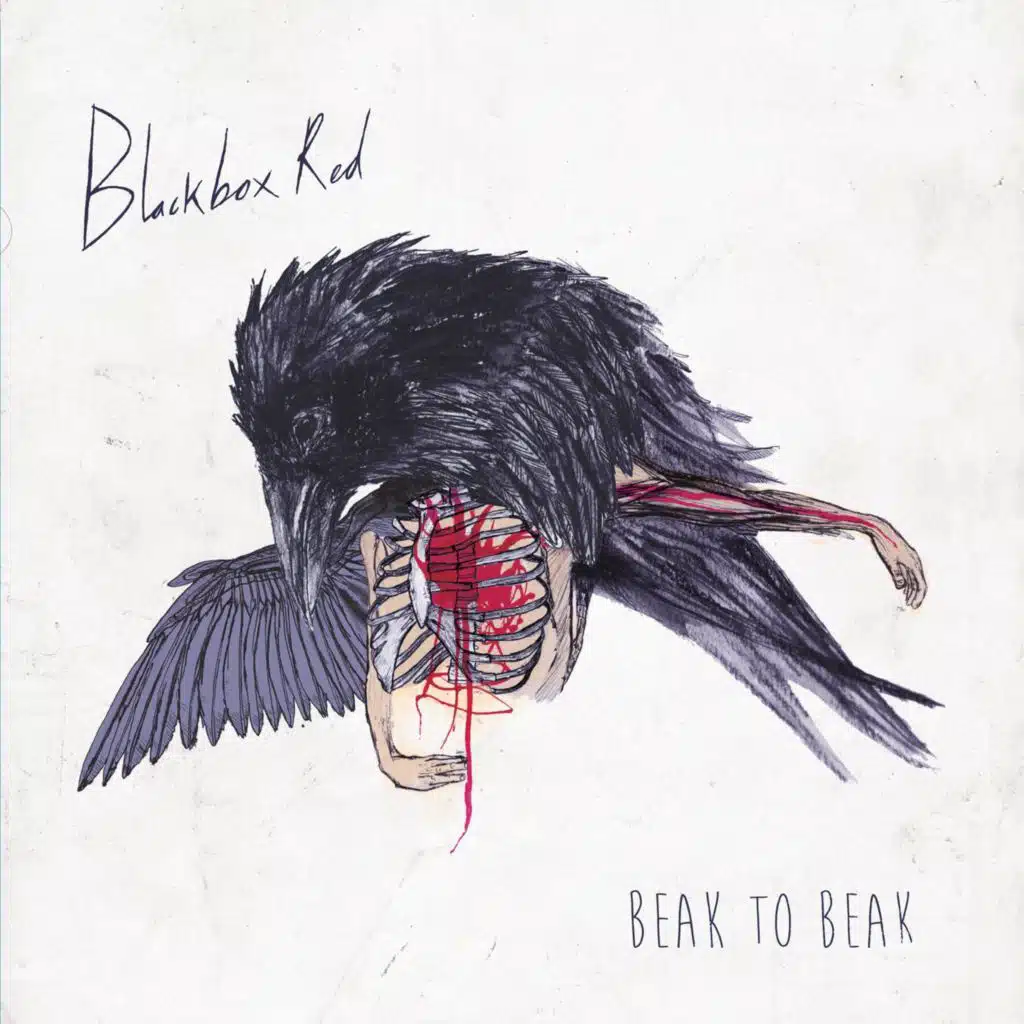 Beak to Beak