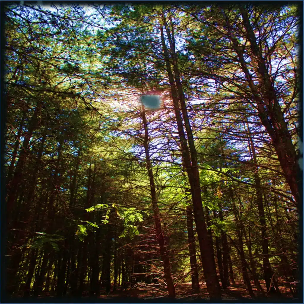 Relax & Relax, Easy Listening Music & Deep Sleep Music Club