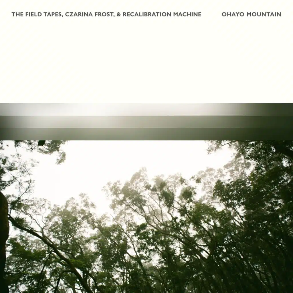 The Field Tapes, Czarina Frost & Recalibration Machine