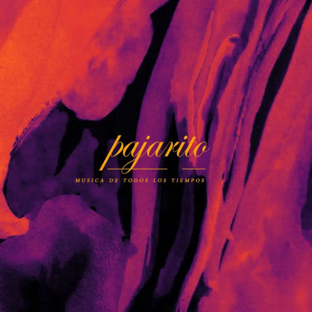 Pajarito: Música de Todos los Tiempos (feat. Juan Fillipelli, Matias Suarez & Fermín Merlo)