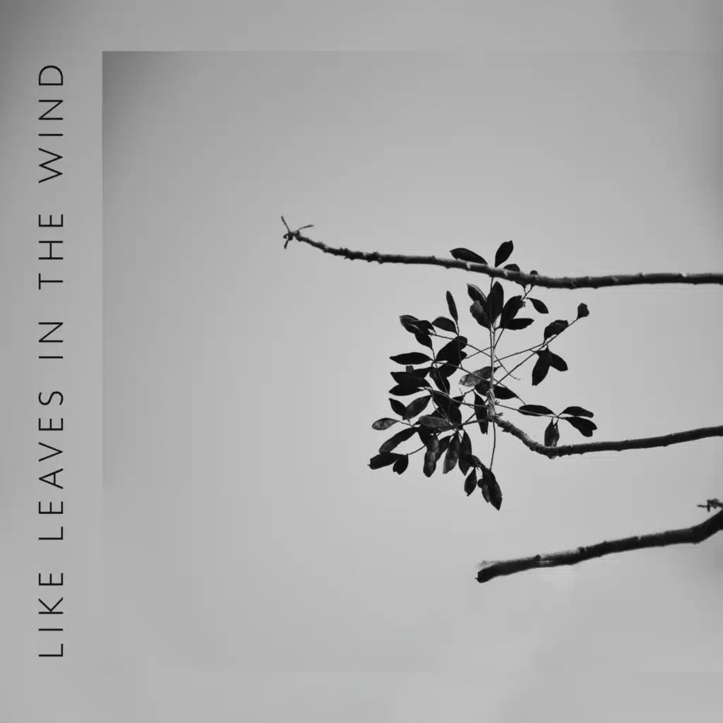Like Leaves in the Wind