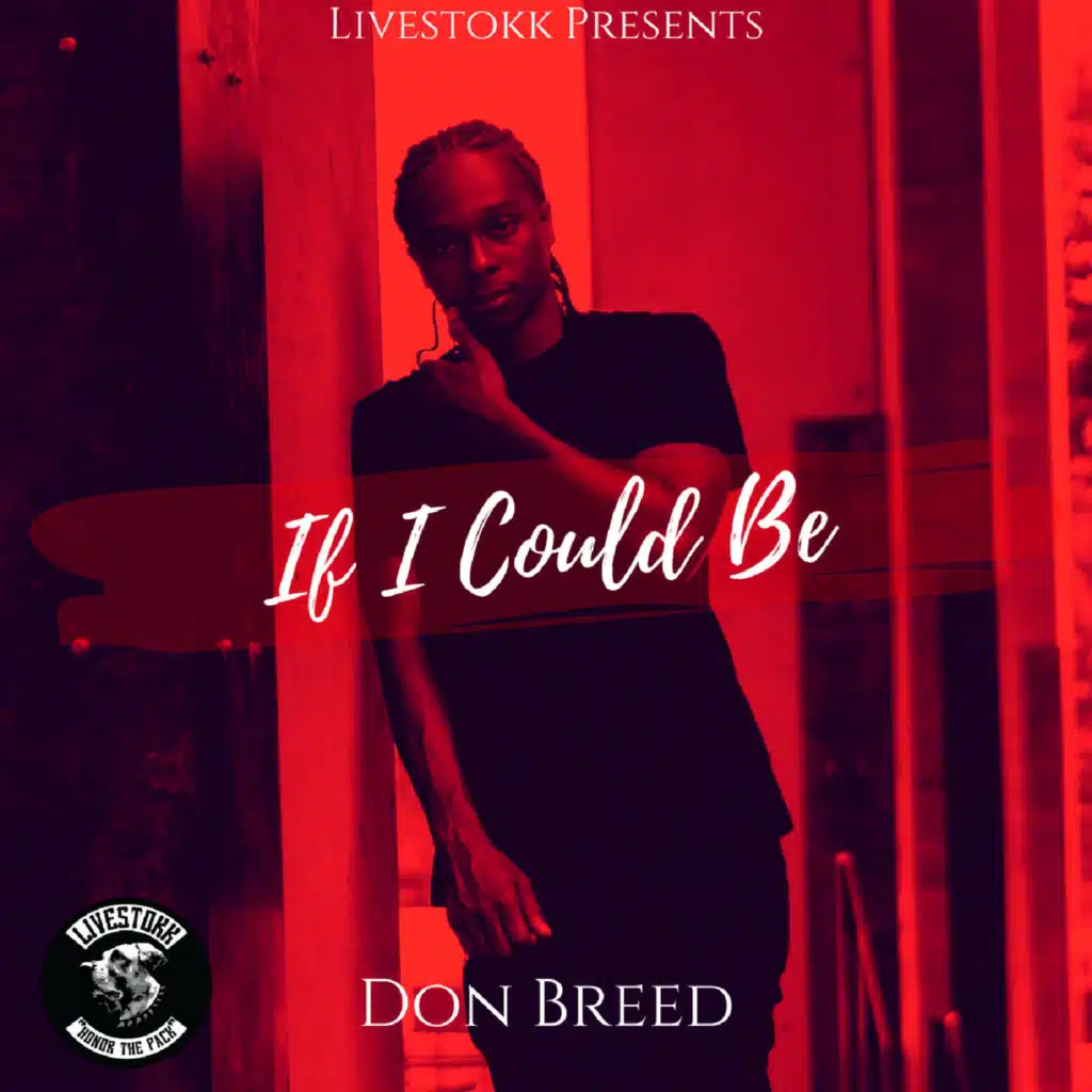 If I Could Be