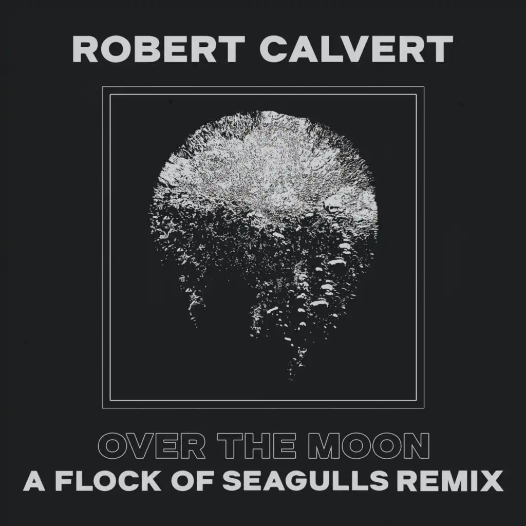 Over the Moon (A Flock of Seagulls Remix)