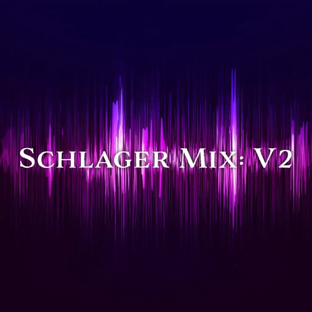 Schlager Mix, Vol. 2