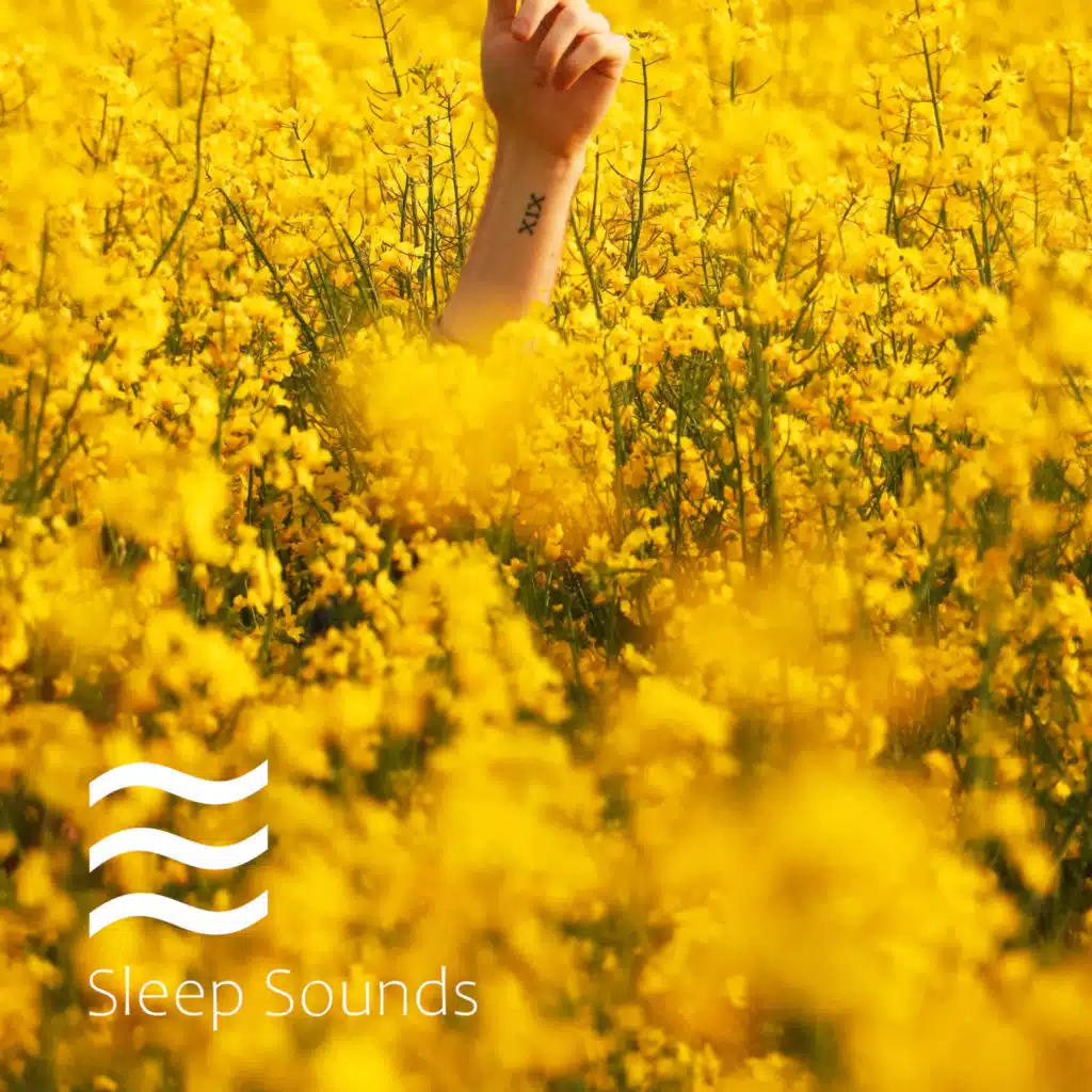 Calming Smooth Pink Noise