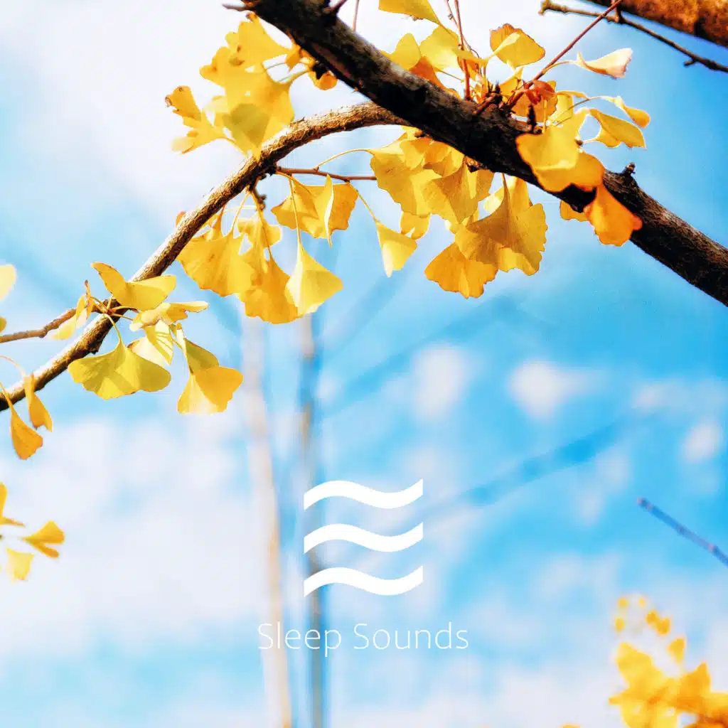 Lovely Calming Deep Noise