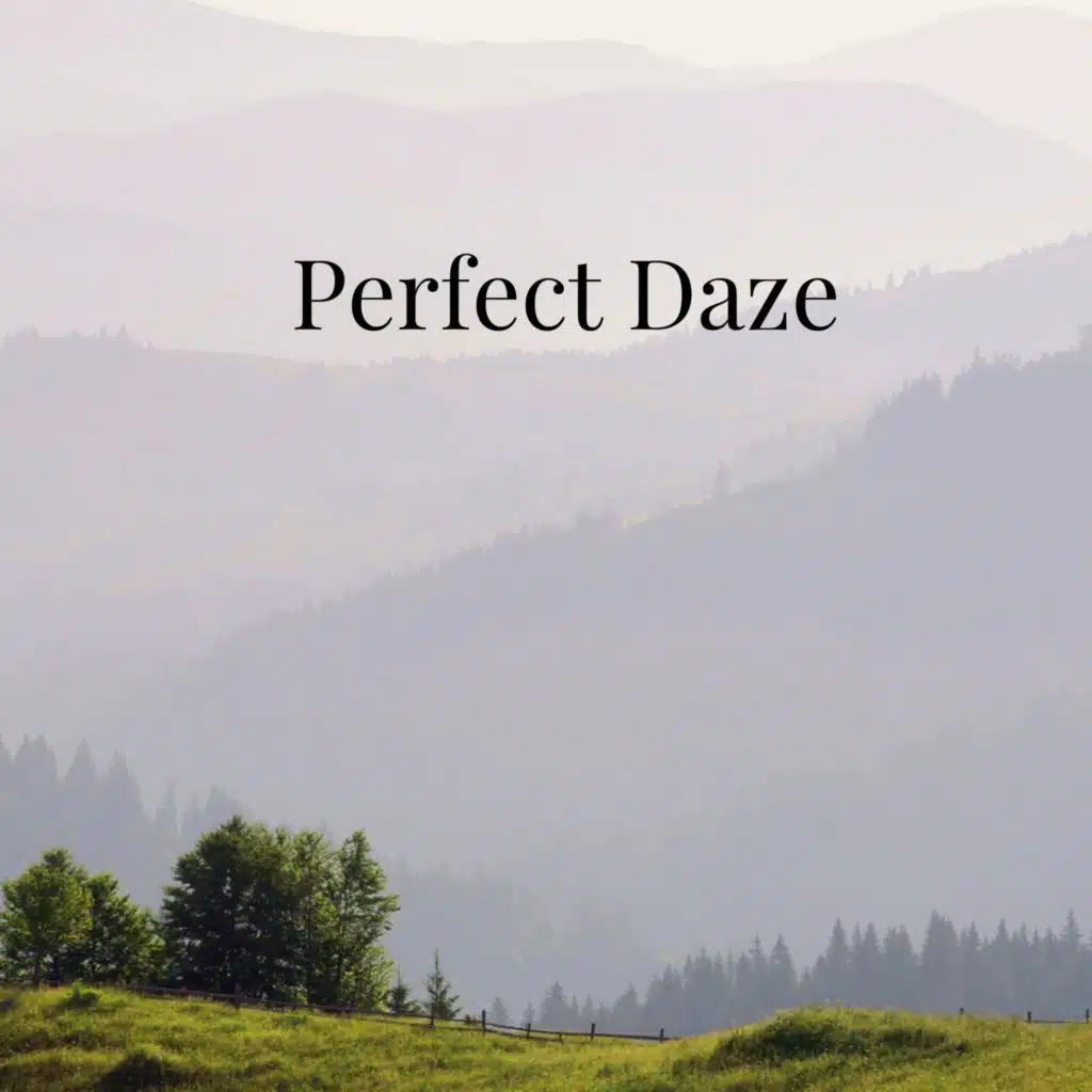 Perfect Daze