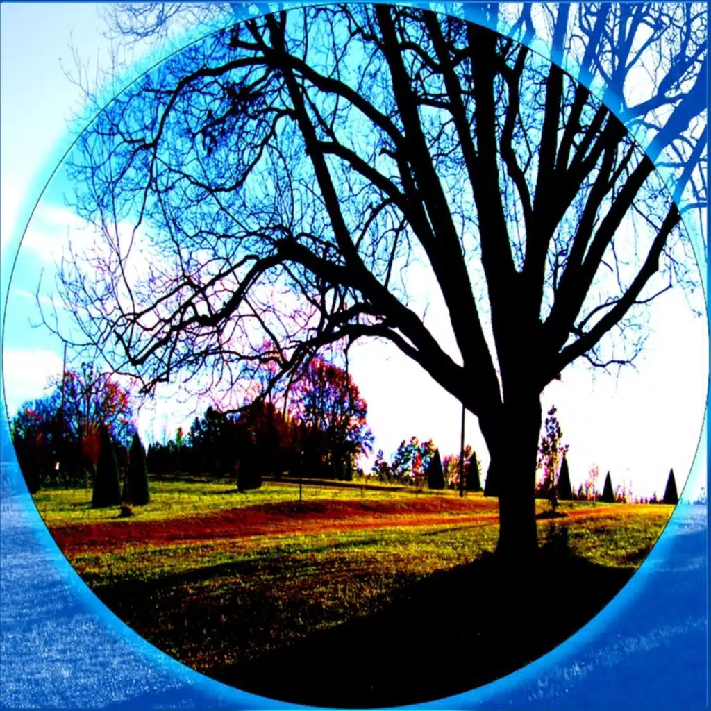 Soothing Background Ambiance