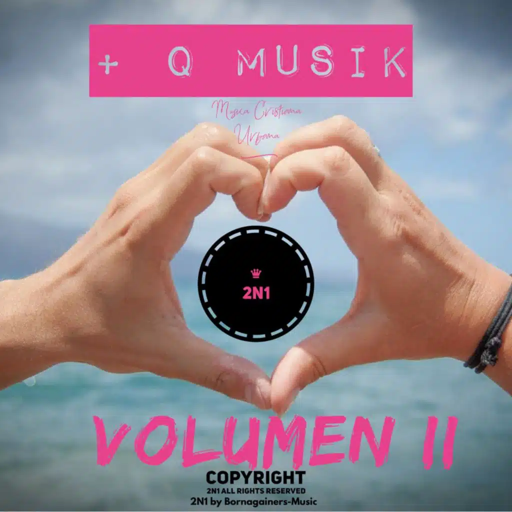 + Q Musik Vol II